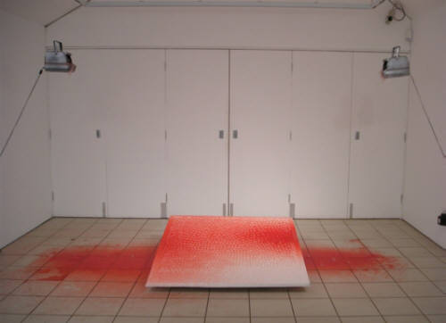 Alicja Lucasiak's work at Park Gallery exhibition