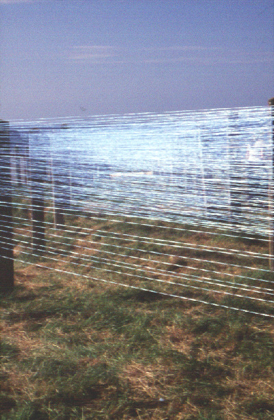 'Sealines/Seelines' 30 miles of baler twine at Kinnaird Head Lighthouse Fraserburgh