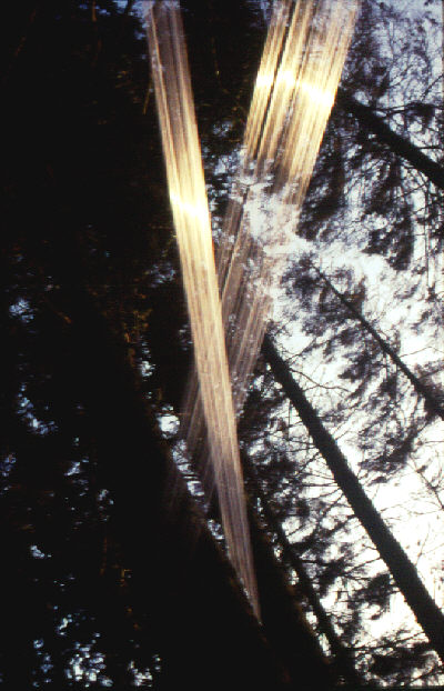 'Bond' fishing line, trees, air