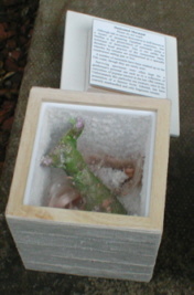 Five Magic Salt Boxes